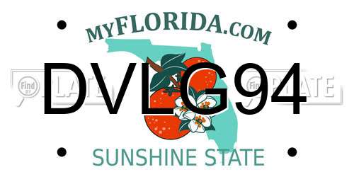 DVLG94 Florida License Plate