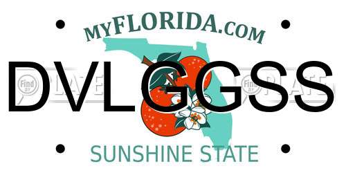 DVLGGSS Florida License Plate