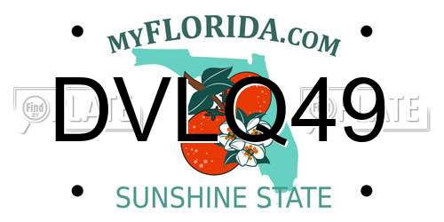DVLQ49 Florida License Plate