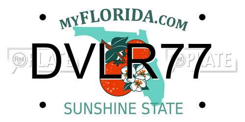 DVLR77 Florida License Plate