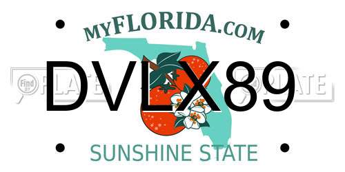 DVLX89 Florida License Plate