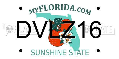 DVLZ16 Florida License Plate