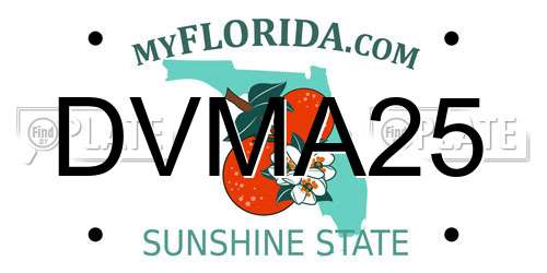DVMA25 Florida License Plate