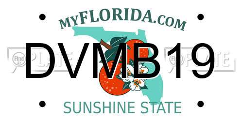 DVMB19 Florida License Plate