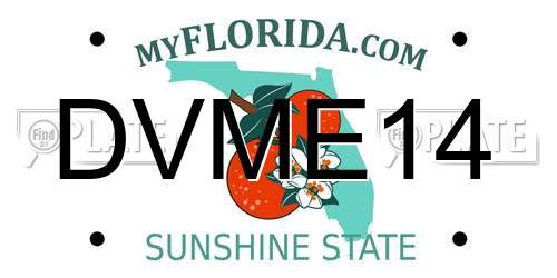 DVME14 Florida License Plate