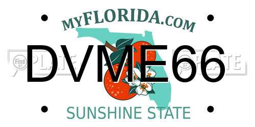 DVME66 Florida License Plate