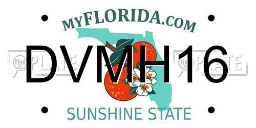 DVMH16 Florida License Plate
