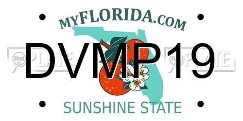 DVMP19 Florida License Plate