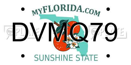 DVMQ79 Florida License Plate
