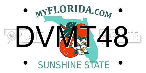 DVMT48 Florida License Plate