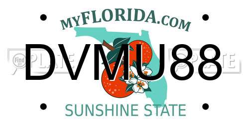 DVMU88 Florida License Plate