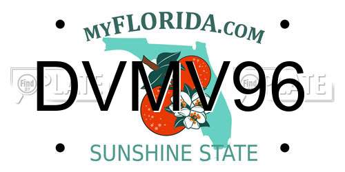 DVMV96 Florida License Plate