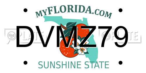DVMZ79 Florida License Plate