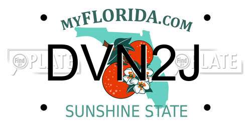 DVN2J Florida License Plate