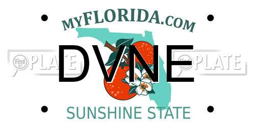 DVNE Florida License Plate