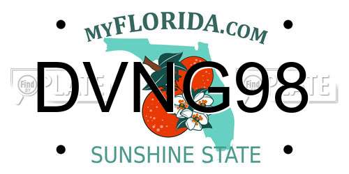 DVNG98 Florida License Plate