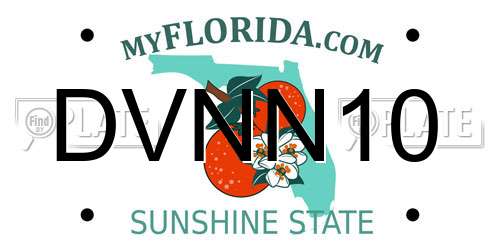 DVNN10 Florida License Plate