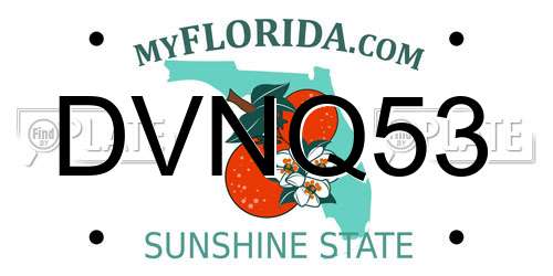 DVNQ53 Florida License Plate