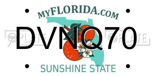 DVNQ70 Florida License Plate