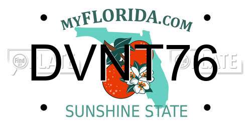 DVNT76 Florida License Plate