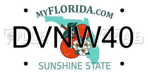 DVNW40 Florida License Plate