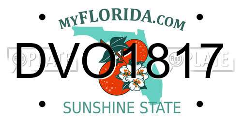 DVO1817 Florida License Plate