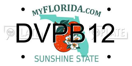 DVPB12 Florida License Plate