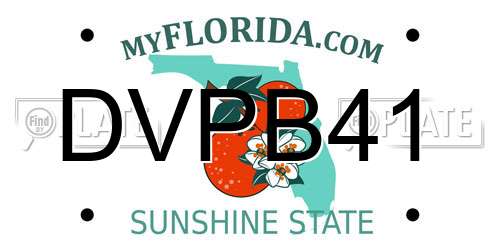 DVPB41 Florida License Plate