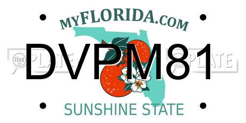 DVPM81 Florida License Plate