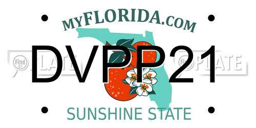 DVPP21 Florida License Plate