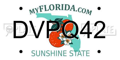 DVPQ42 Florida License Plate