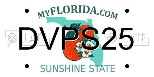 DVPS25 Florida License Plate