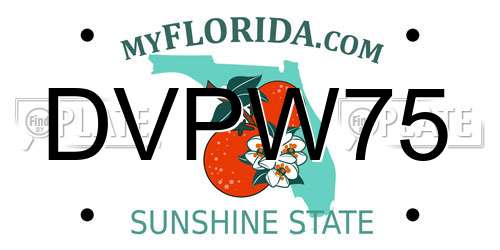 DVPW75 Florida License Plate