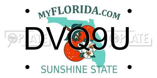 DVQ9U Florida License Plate