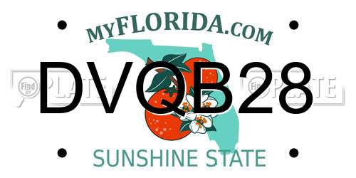 DVQB28 Florida License Plate