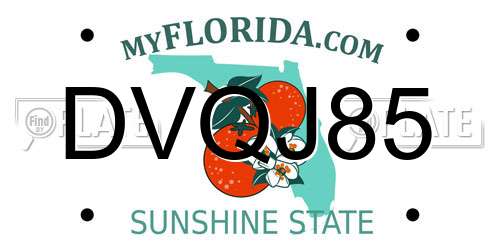 DVQJ85 Florida License Plate