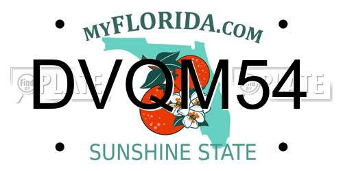 DVQM54 Florida License Plate
