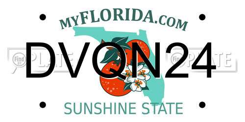 DVQN24 Florida License Plate
