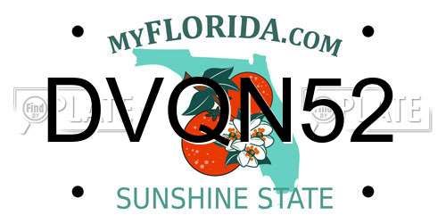 DVQN52 Florida License Plate