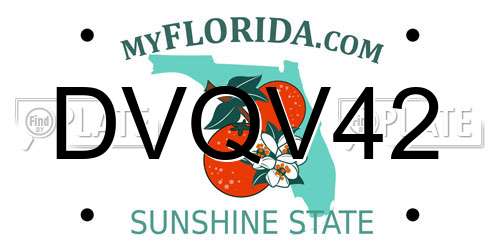 DVQV42 Florida License Plate