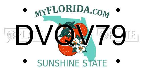 DVQV79 Florida License Plate