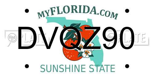 DVQZ90 Florida License Plate