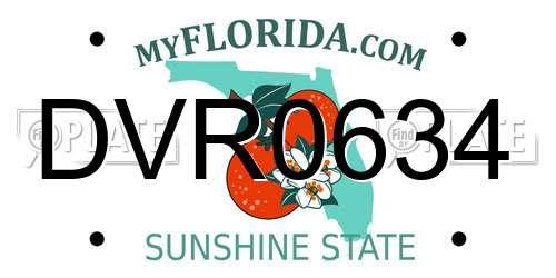 DVR0634 Florida License Plate