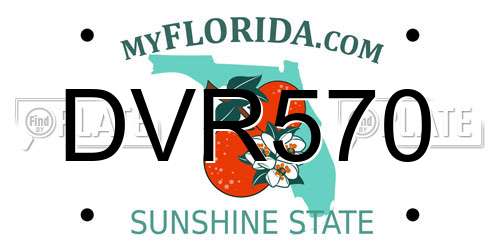DVR570 Florida License Plate