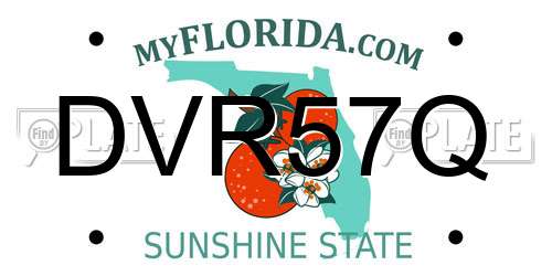 DVR57Q Florida License Plate