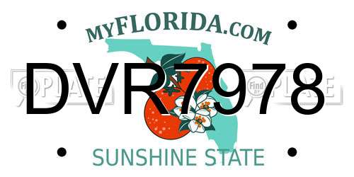 DVR7978 Florida License Plate