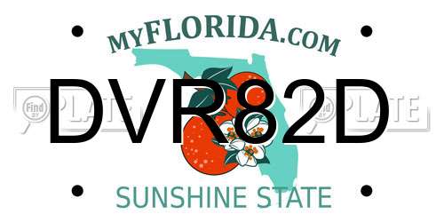 DVR82D Florida License Plate