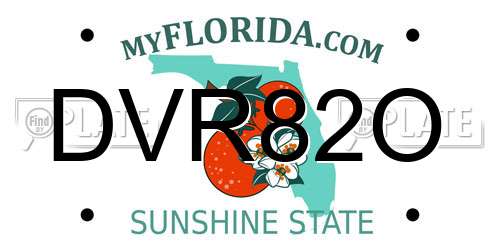 DVR82O Florida License Plate
