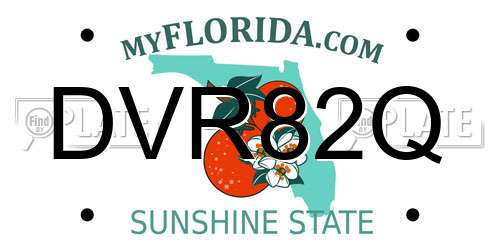 DVR82Q Florida License Plate