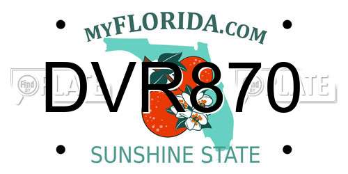 DVR870 Florida License Plate
